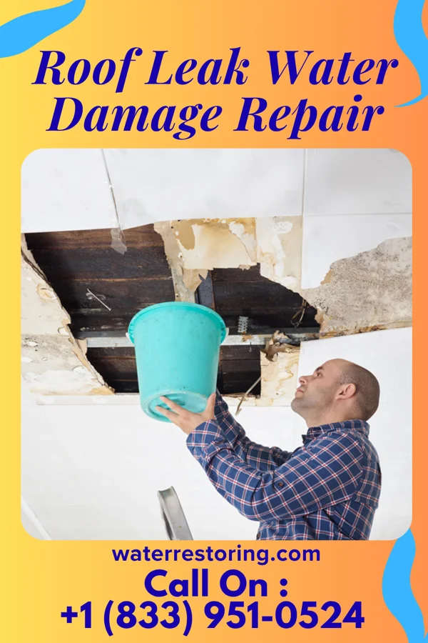 Roof Leak Water Damage Repair in Canton, GA
